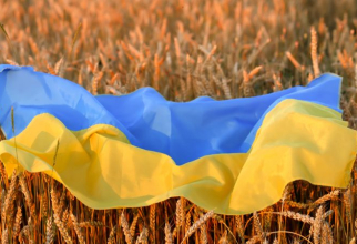 Criza cerealelor ucrainene pe fondul războiului Rusiei. Foto: SHUTTERSTOCK/DobraKobra via Euractiv
